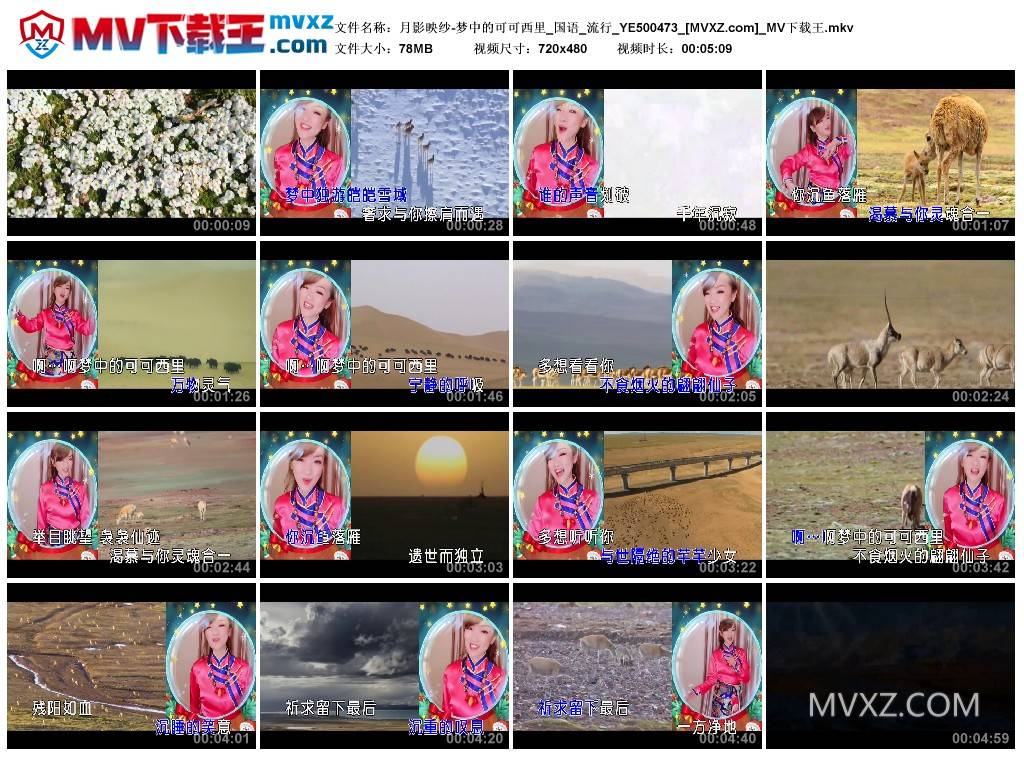 月影映纱-梦中的可可西里_国语_流行_YE500473